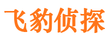 普陀区市侦探调查公司